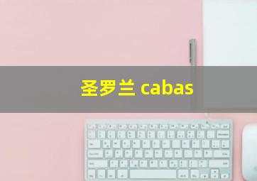 圣罗兰 cabas